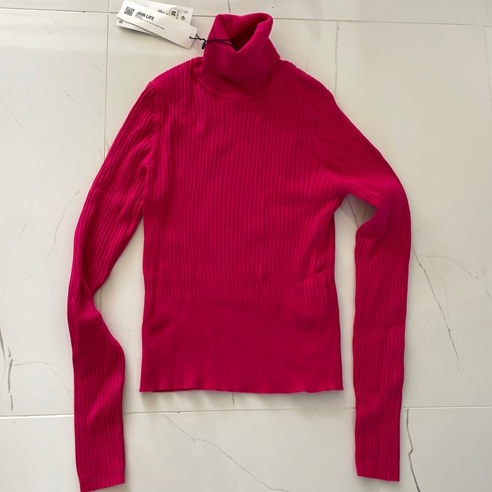 Zara ribbed knit turtleneck top (NWT)